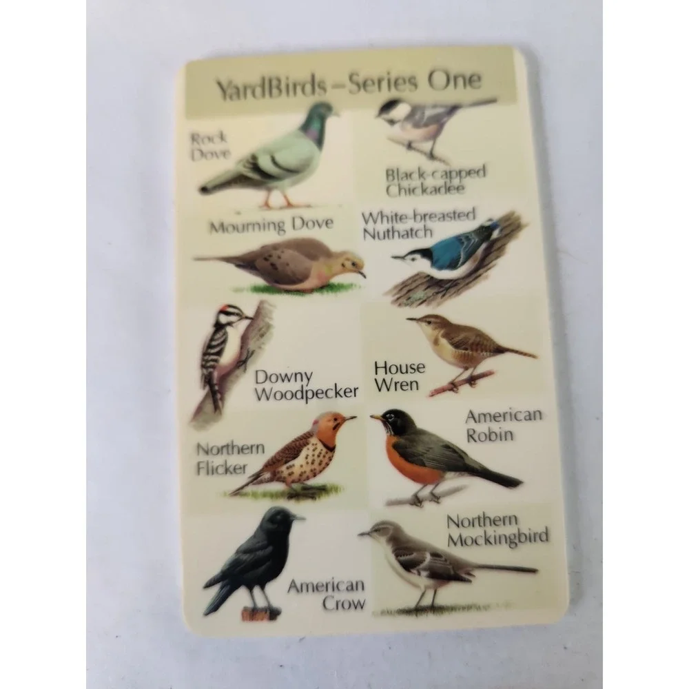 Birdsong IdentiFLYER & 2 Cards Handheld Electronic Bird Call Device Tested Works